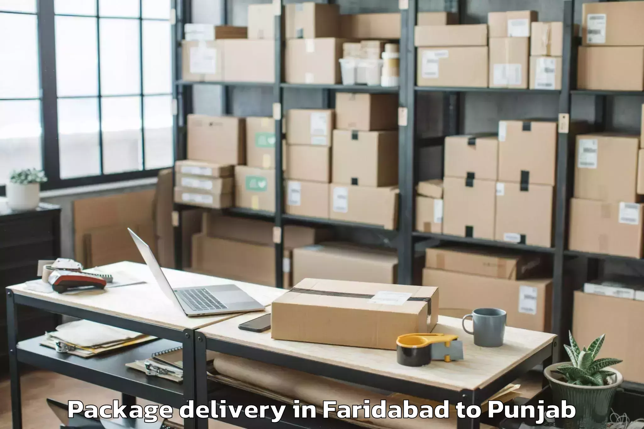 Top Faridabad to Abhilashi University Faridkot Package Delivery Available